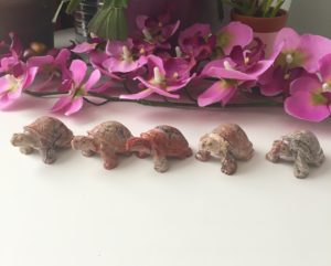 Speksteen Schildpadjes