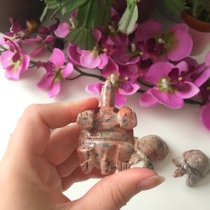 Speksteen Schildpadjes