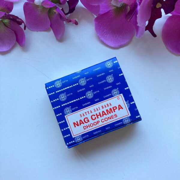 Nag Champa Satya Wierook kegels