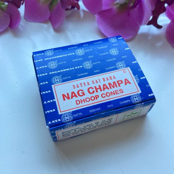 Nag Champa Satya Wierook kegels