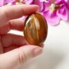 Versteend hout handsteen - jumbo - 2