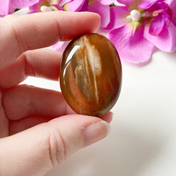Versteend hout handsteen - jumbo - 2