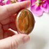 Versteend hout handsteen - jumbo - 2