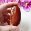 Versteend hout handsteen - jumbo - 5