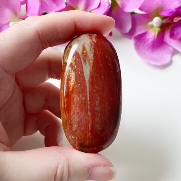Versteend hout handsteen - jumbo - 5