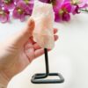 Rozenkwarts op standaard