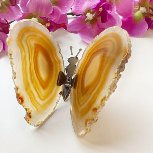 Agaat vlinder - naturel
